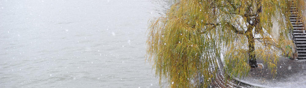 WIndermere